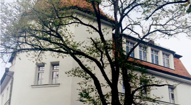 Weißes Gebäude mit Baum im Vordergrund